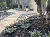 Rock in the Landscape